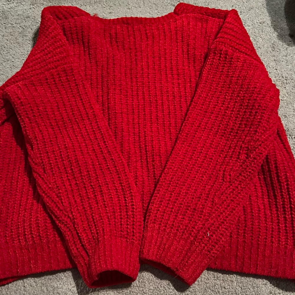 Express Red Sweater in Large - Picture 1 of 5